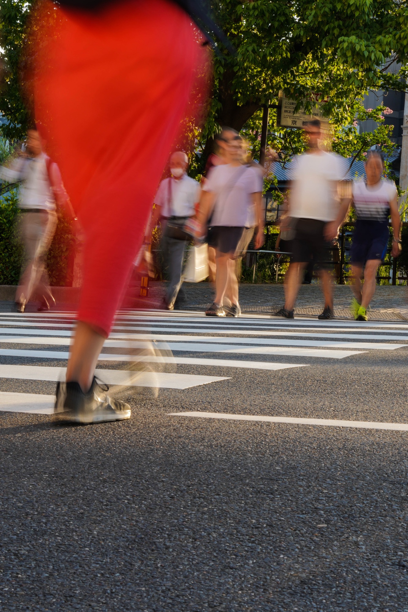 Speed Crossing — travel photograph by Harley Zhong